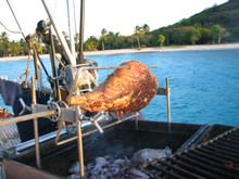 THE DOVE exterior — luxury yacht charter
